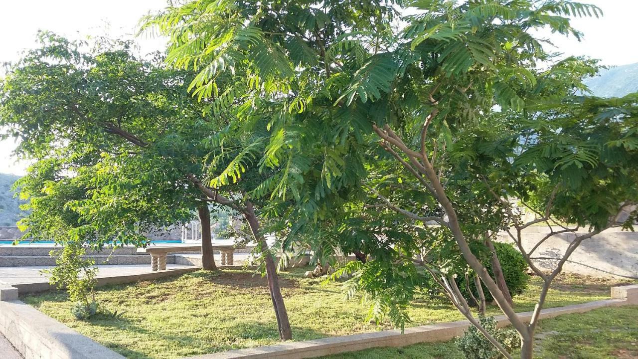 Villa Mihaela - Apartment Ika Цезарица Екстериор снимка